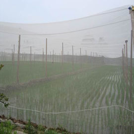 Porcellana Maglia 100% dell'insetto dell'HDPE di 40 maglie che cattura con la rete non tossico per prevenzione delle malattie fornitore