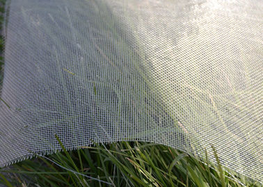 Porcellana maglia ultra fine dell'insetto del giardino 60gsm di 1x5m che cattura con la rete forza ad alta resistenza fornitore