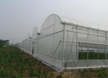 Porcellana Facile installi il reticolato agricolo dell'insetto, anti reticolato della grandine per la serra fornitore