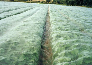 Porcellana Schermo bianco della mosca della serra agricola che cattura con la rete anti afide per la verdura fornitore