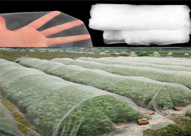 Porcellana Maglia materiale dell'insetto dell'HDPE che cattura con la rete colore bianco per i giovani raccolti di verdure fornitore