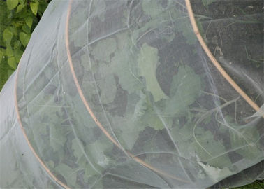 Porcellana Rete di verdure di protezione del raccolto agricolo di Netn per il reticolato della guardia di melo fornitore