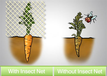 Porcellana L'applicazione dell'insetto cattura con la rete l'uso delle reti insettifughe costruire artificialmente le barriere per ridurre l'avvenimento fornitore