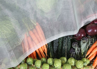 Porcellana Maglia di plastica dell'insetto del foro della maglia da 1,35 x 1,35 millimetri per protezione di verdure della frutta fornitore