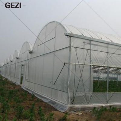 Porcellana Gezi Mesh Insect Protection Net fine per il giardino, serra, piante, frutta, fiori, i raccolti, cosa repellente di insetto fornitore
