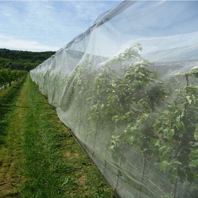 Porcellana Grandine del reticolato resistente UV dell'HDPE anti per agricoltura e Gardenning fornitore