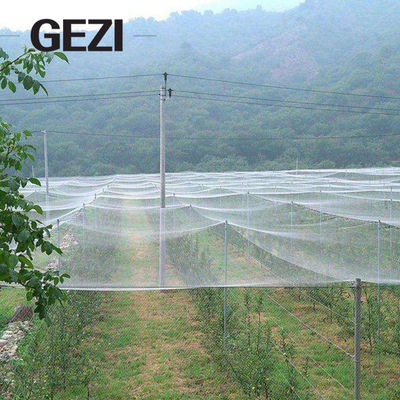 Porcellana maglia netta di Greenhous dell'insetto agricolo UV di Resistat del vergine di 0.3×0.3mm 100% per la fabbrica di verdure del reticolato della copertura del giardino fornitore