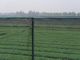 250 metri dell'HDPE dell'insetto di reticolato 100% della maglia per la serra di verdure agricola fornitore