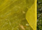 Anti schermo giallo dell'insetto, dimensione su misura rete agricola dell'insetto della serra fornitore