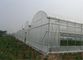 Reticolato del giardino della prova dell'insetto, lunghezza agricola del reticolato dell'insetto su misura fornitore