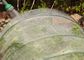 Maglia dell'insetto del giardino che cattura con la rete il reticolato agricolo del polietilene di conteggio di 20 maglie fornitore
