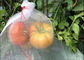 La frutta di Drawsting del risparmiatore della frutta del PE protegge l'insetto delle borse il fiore della borsa che di reticolato della maglia protegge fornitore
