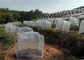 Prova agricola dell'insetto della copertura di frutti dei fiori delle verdure del reticolato della maglia dell'insetto dei raccolti del giardino fornitore