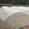 Gezi Mesh Insect Protection Net fine per il giardino, serra, piante, frutta, fiori, i raccolti, cosa repellente di insetto fornitore