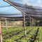 rete agricola dell'ombra di verde del sole del nuovo materiale dell'HDPE di 100% fornitore