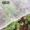 rete della prova dell'insetto di Mesh Cage Transparent White Color dell'HDPE 40 anti per proteggere la verdura fornitore