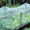 maglia netta di Greenhous dell'insetto agricolo UV di Resistat del vergine di 0.3×0.3mm 100% per la fabbrica di verdure del reticolato della copertura del giardino fornitore