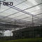 La nuova Camera di colore verde di Blcak Begie del materiale dell'HDPE protegge le 70 verdure nette per la fabbricazione della rete della serra fornitore
