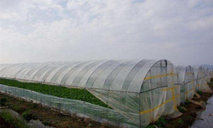 Reticolato di protezione antigrandine di agricoltura per l'agricoltura di verdure del tunnel della serra