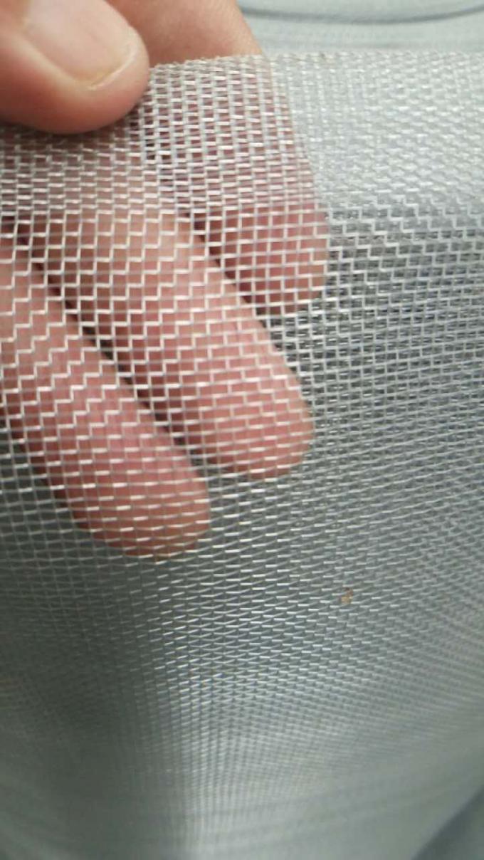 Maglia di plastica dell'insetto del foro della maglia da 1,35 x 1,35 millimetri per protezione di verdure della frutta
