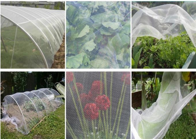Prova agricola dell'insetto della copertura di frutti dei fiori delle verdure del reticolato della maglia dell'insetto dei raccolti del giardino