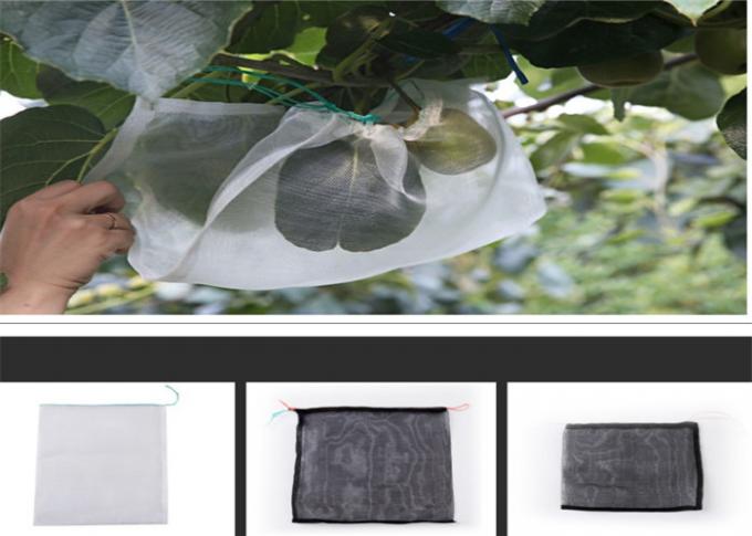 Piccola frutta di nylon nera della borsa della maglia del filtro da dimensione su ordinazione che coltiva la borsa della maglia dell'insetto