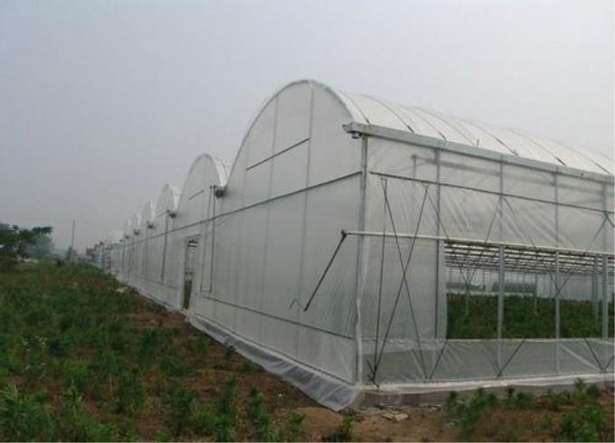 60 materie plastiche agricole dell'HDPE del reticolato del giardino della prova dell'insetto della maglia