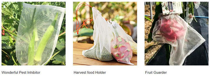 La frutta di Drawsting del risparmiatore della frutta del PE protegge l'insetto delle borse il fiore della borsa che di reticolato della maglia protegge