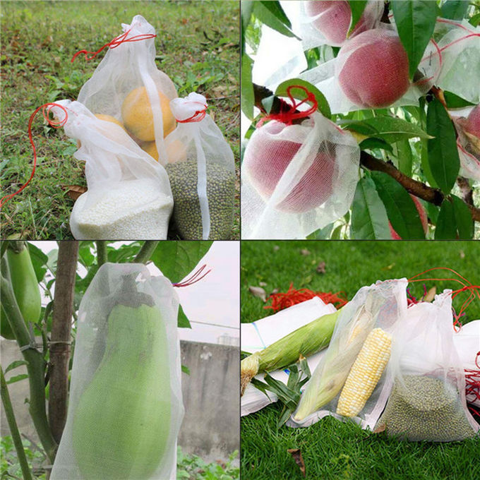 La frutta di Drawsting del risparmiatore della frutta del PE protegge l'insetto delle borse il fiore della borsa che di reticolato della maglia protegge
