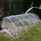 Rete della barriera dell'uccello dell'insetto con il manto vegetale della rete dell'insetto del giardino del cordone utilizzato per proteggere frutti ed i fiori della pianta fornitore