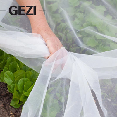 Anti tessuto di maglia dell'HDPE dell'insetto del giardino con la copertura della pianta del cordone, usata per proteggere frutti ed i fiori della pianta dall'insetto fornitore