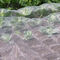 maglia netta 50 dell'anti insetto con le cuciture laterali usate per proteggere le piante, le verdure e frutta. Rete della barriera dello schermo per il padiglione fornitore