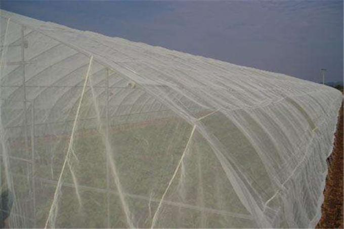 Reticolato 100% della maglia dell'insetto dell'HDPE 4x50m per la scuola materna della serra/agricolo