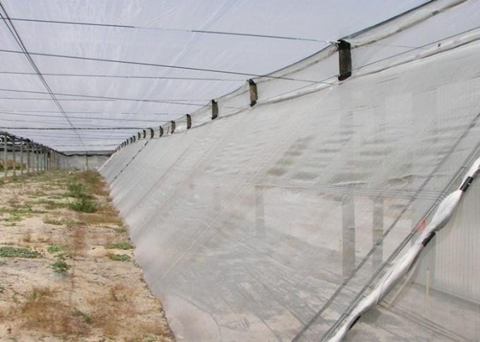 Reticolato 100% della maglia dell'insetto dell'HDPE 4x50m per la scuola materna della serra/agricolo